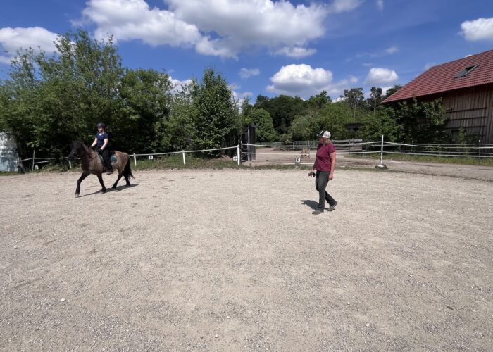 Erwachsenen Training